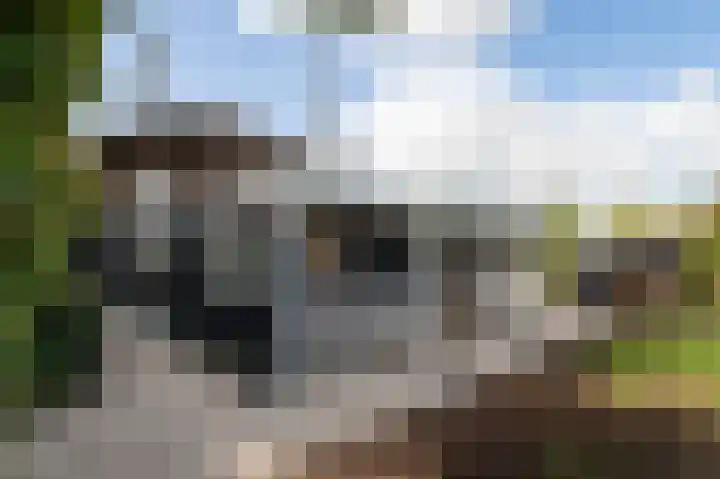 Waalbandijk 31 Neerijnen thumbnail 27