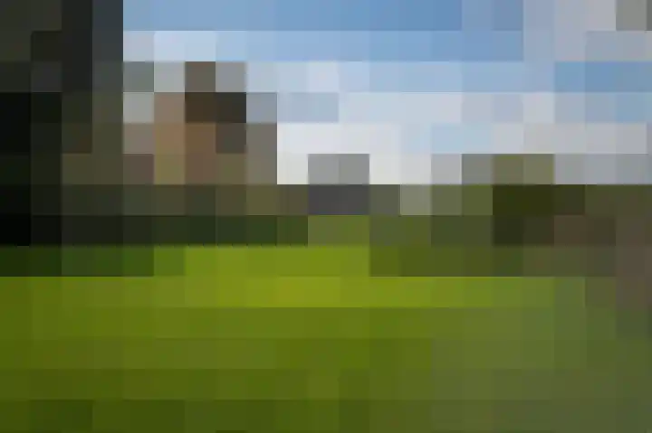Waalbandijk 31 Neerijnen thumbnail 28
