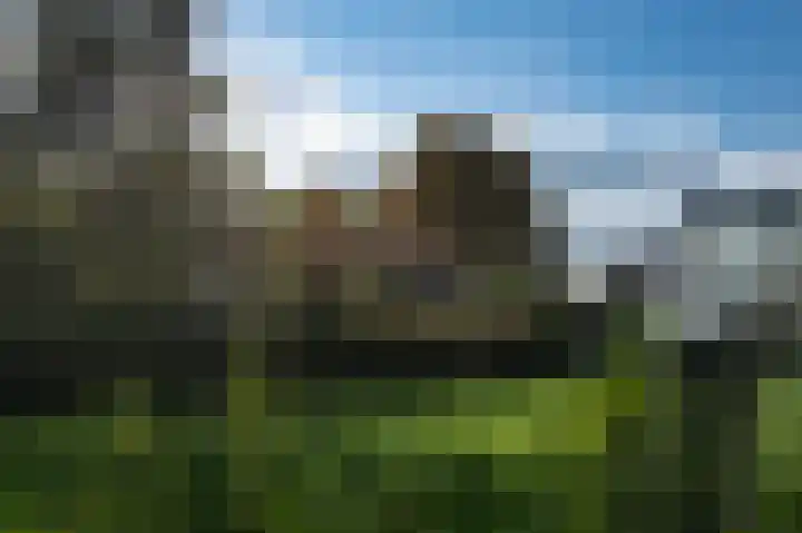 Waalbandijk 31 Neerijnen thumbnail 30