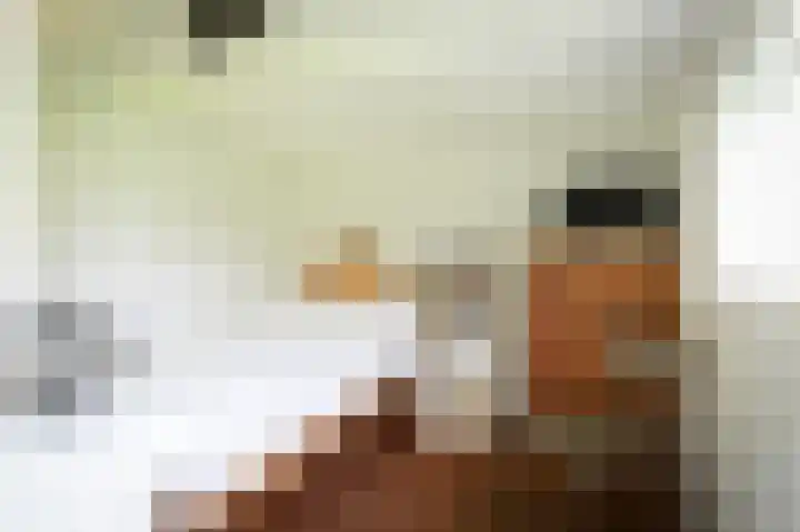Waalbandijk 31 Neerijnen thumbnail 31