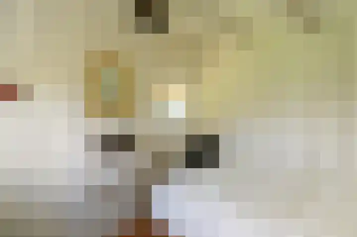 Waalbandijk 31 Neerijnen thumbnail 32