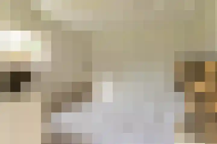 Waalbandijk 31 Neerijnen thumbnail 34
