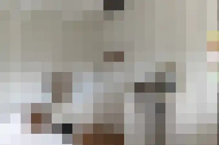 Waalbandijk 31 Neerijnen thumbnail 35