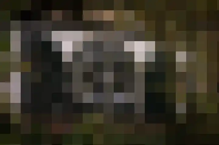 Waalbandijk 31 Neerijnen thumbnail 36