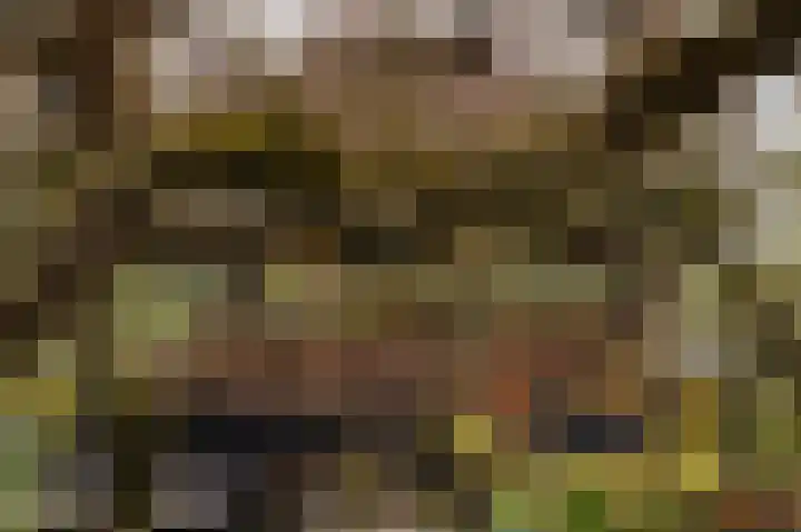 Waalbandijk 31 Neerijnen thumbnail 37