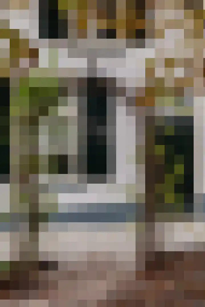 Waalbandijk 31 Neerijnen thumbnail 39