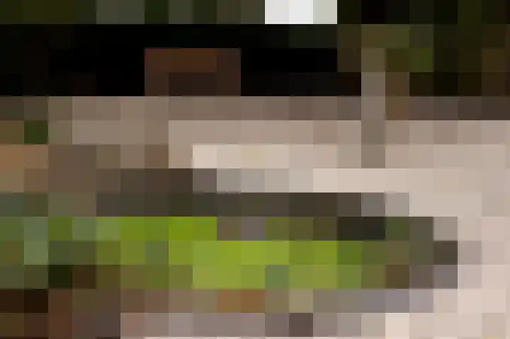 Waalbandijk 31 Neerijnen thumbnail 41