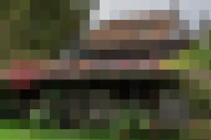 Waalbandijk 31 Neerijnen thumbnail 43