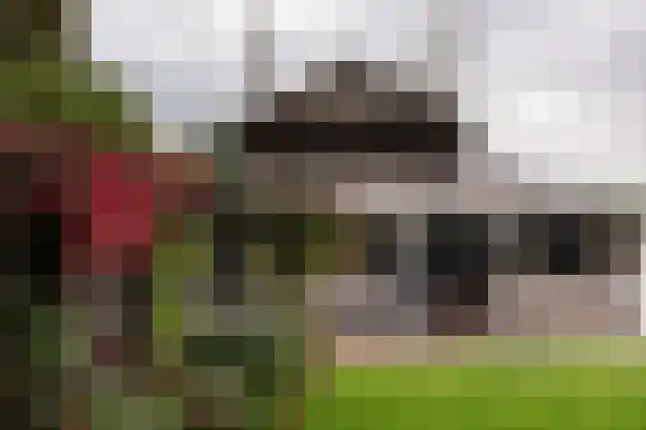 Waalbandijk 31 Neerijnen thumbnail 44