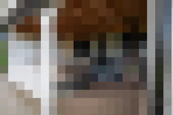 Waalbandijk 31 Neerijnen thumbnail 45