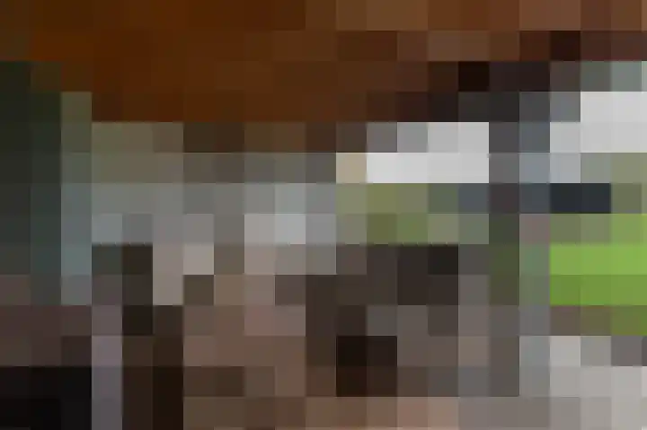 Waalbandijk 31 Neerijnen thumbnail 46