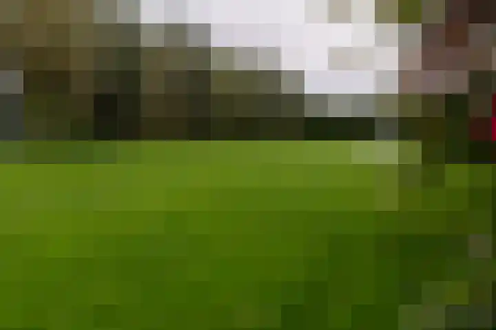 Waalbandijk 31 Neerijnen thumbnail 48