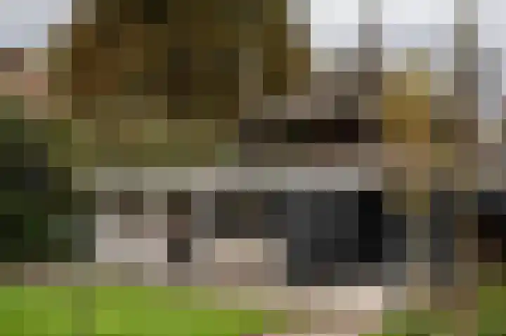 Waalbandijk 31 Neerijnen thumbnail 49