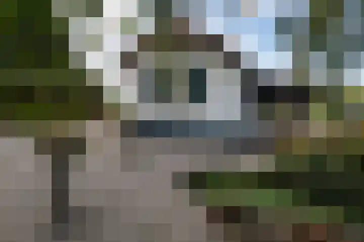 Waalbandijk 31 Neerijnen thumbnail 5