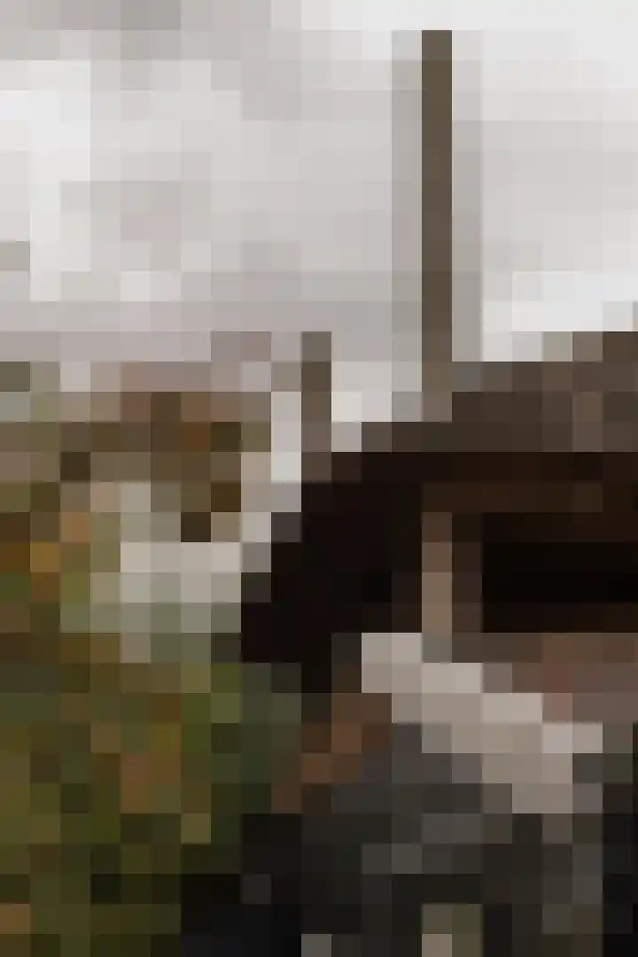 Waalbandijk 31 Neerijnen thumbnail 51