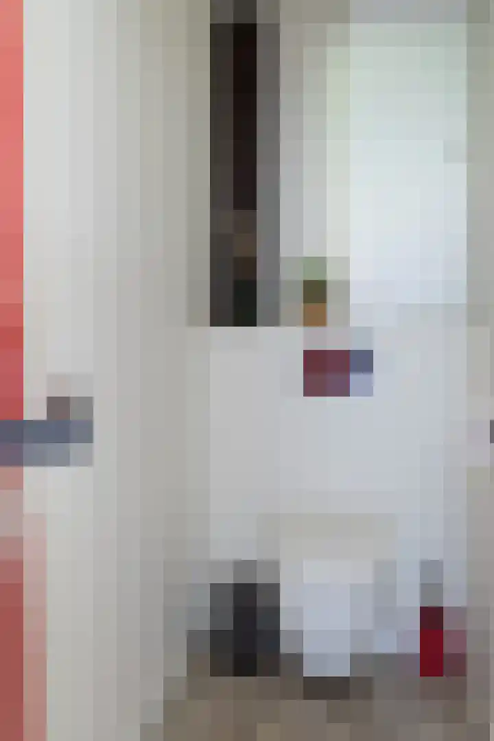 Waalbandijk 31 Neerijnen thumbnail 55