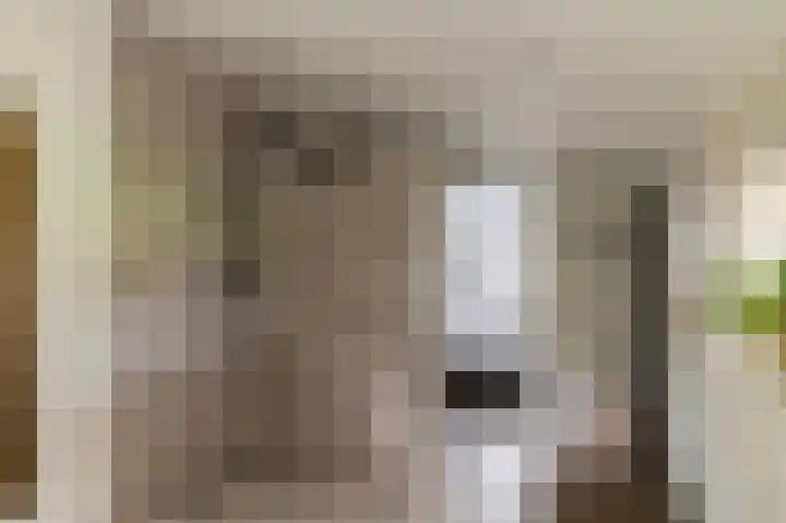 Waalbandijk 31 Neerijnen thumbnail 57