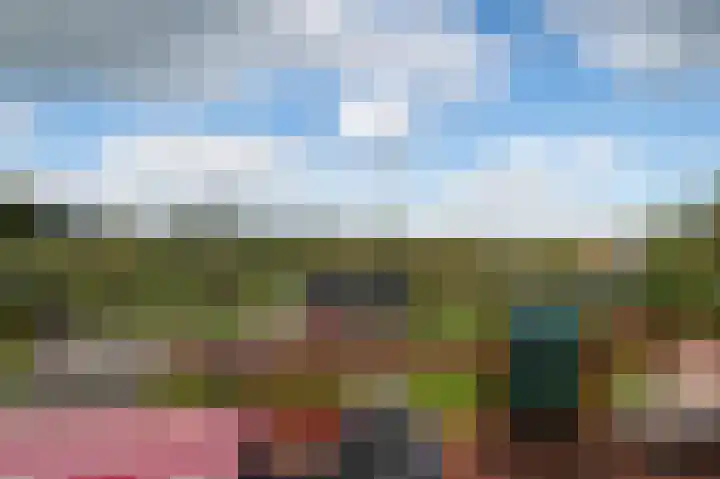 Waalbandijk 31 Neerijnen thumbnail 6