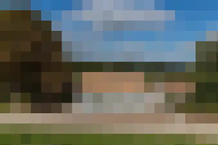 Waalbandijk 31 Neerijnen thumbnail 60
