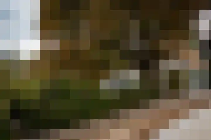 Waalbandijk 31 Neerijnen thumbnail 61