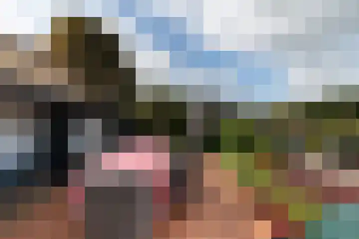 Waalbandijk 31 Neerijnen thumbnail 7
