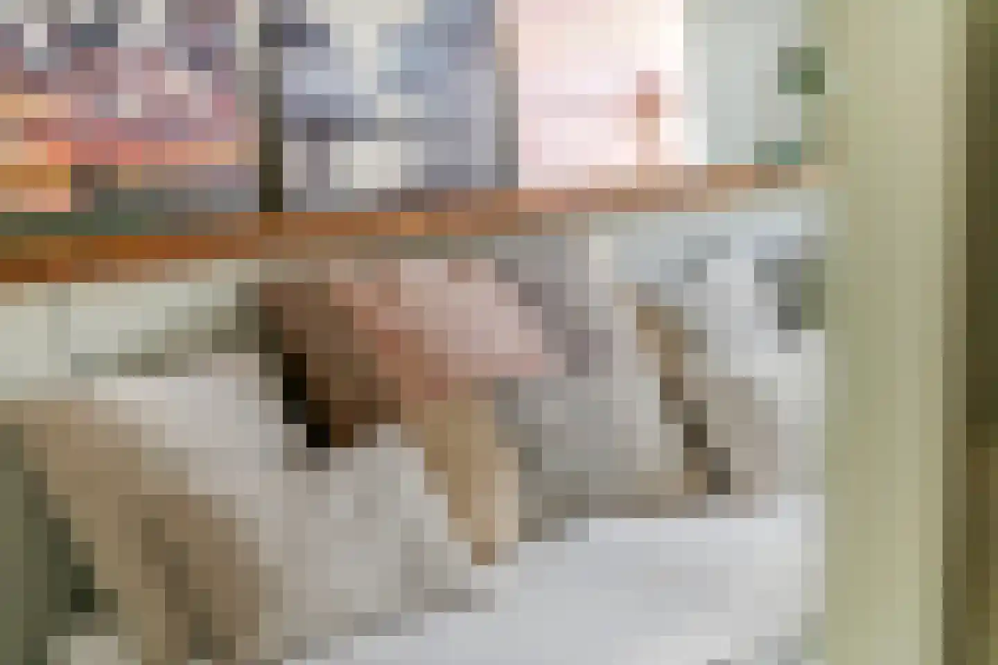 Waalbandijk 36 Varik thumbnail 12