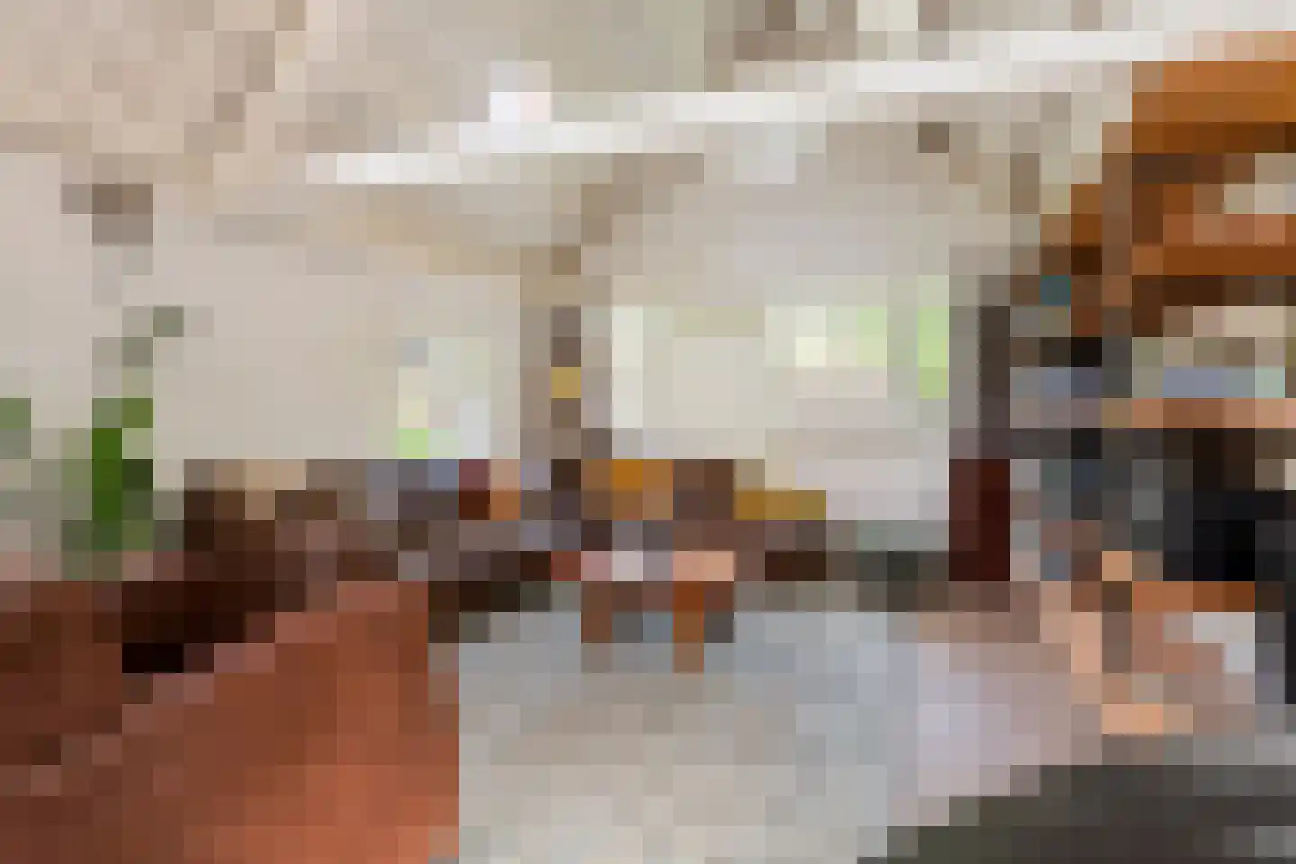 Waalbandijk 36 Varik thumbnail 16