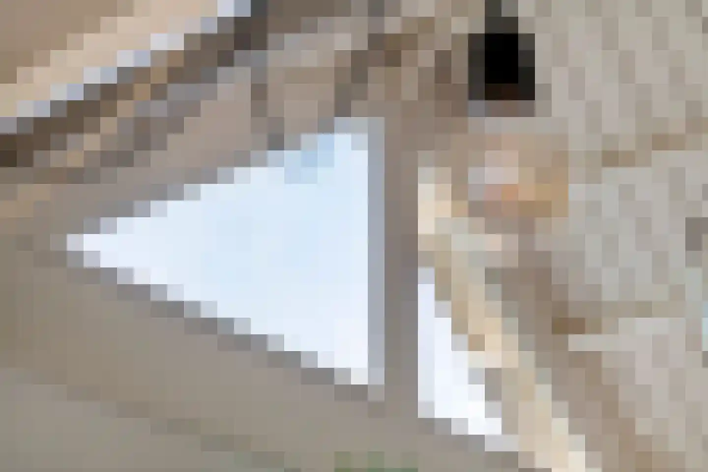 Waalbandijk 36 Varik thumbnail 17