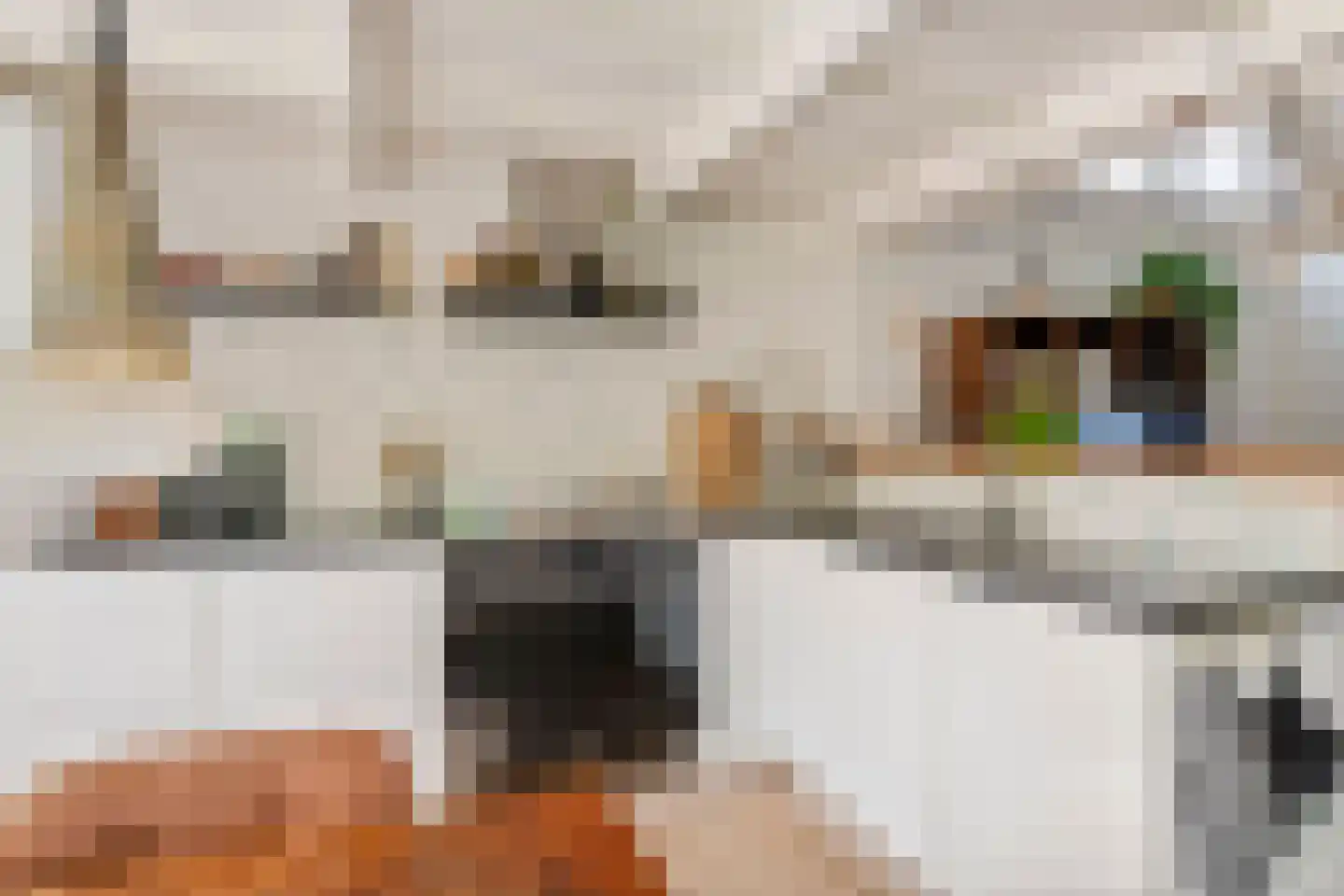 Waalbandijk 36 Varik thumbnail 21