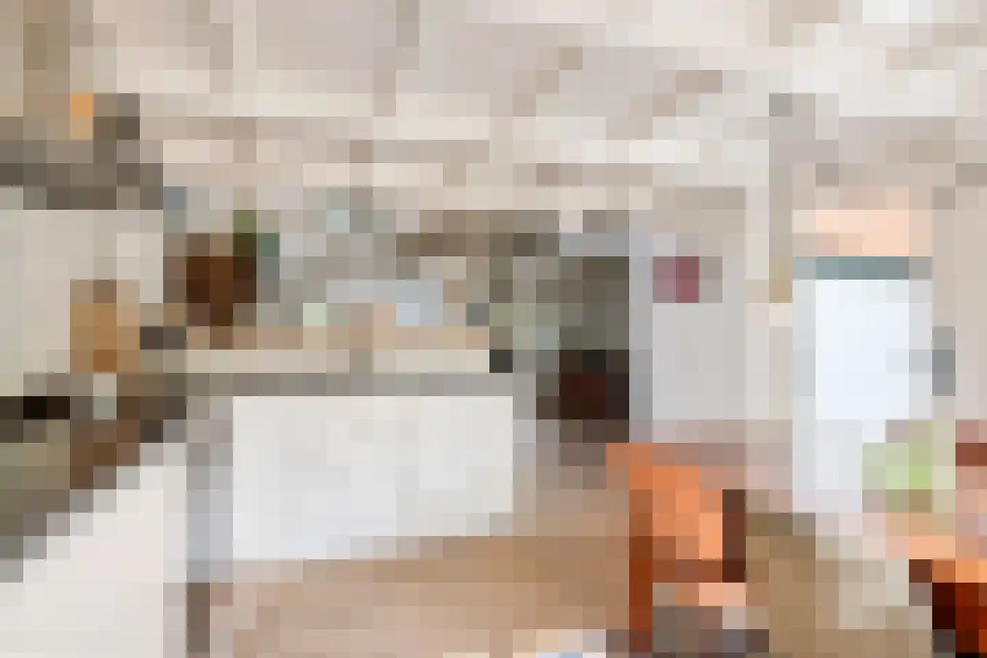Waalbandijk 36 Varik thumbnail 22