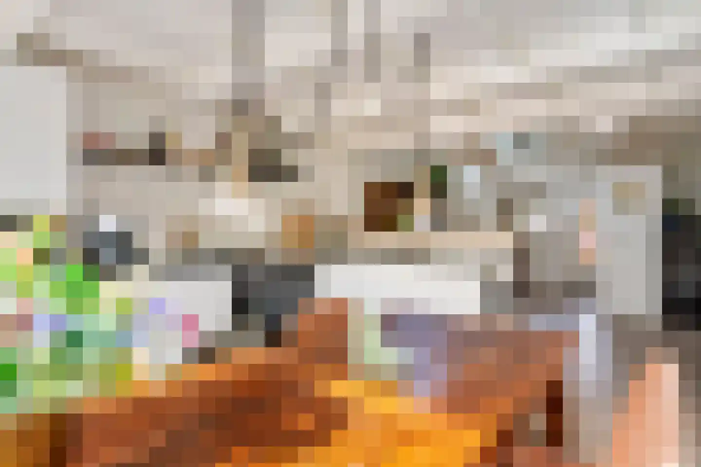 Waalbandijk 36 Varik thumbnail 23