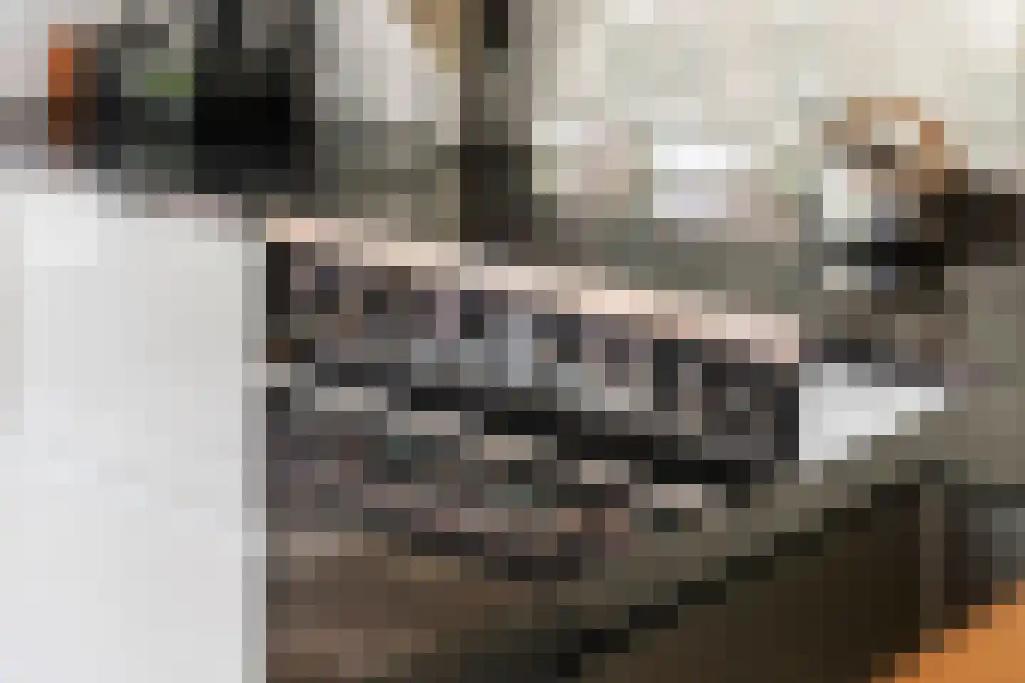 Waalbandijk 36 Varik thumbnail 24
