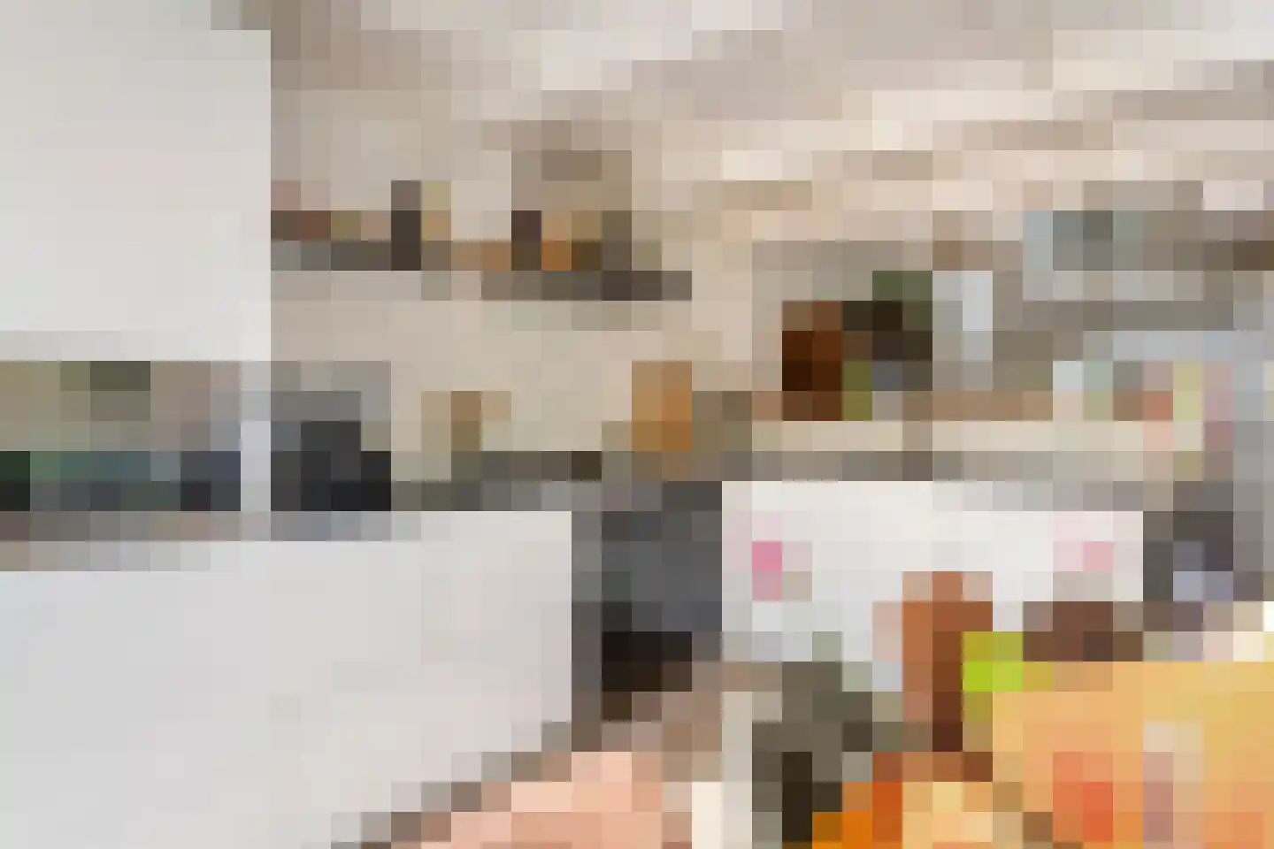 Waalbandijk 36 Varik thumbnail 25