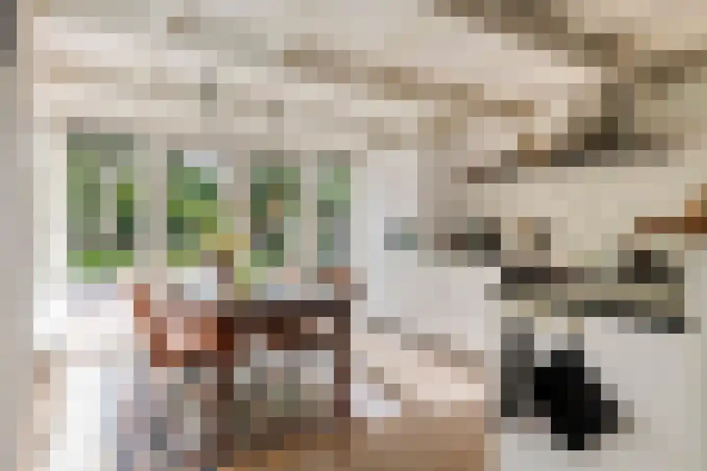 Waalbandijk 36 Varik thumbnail 29