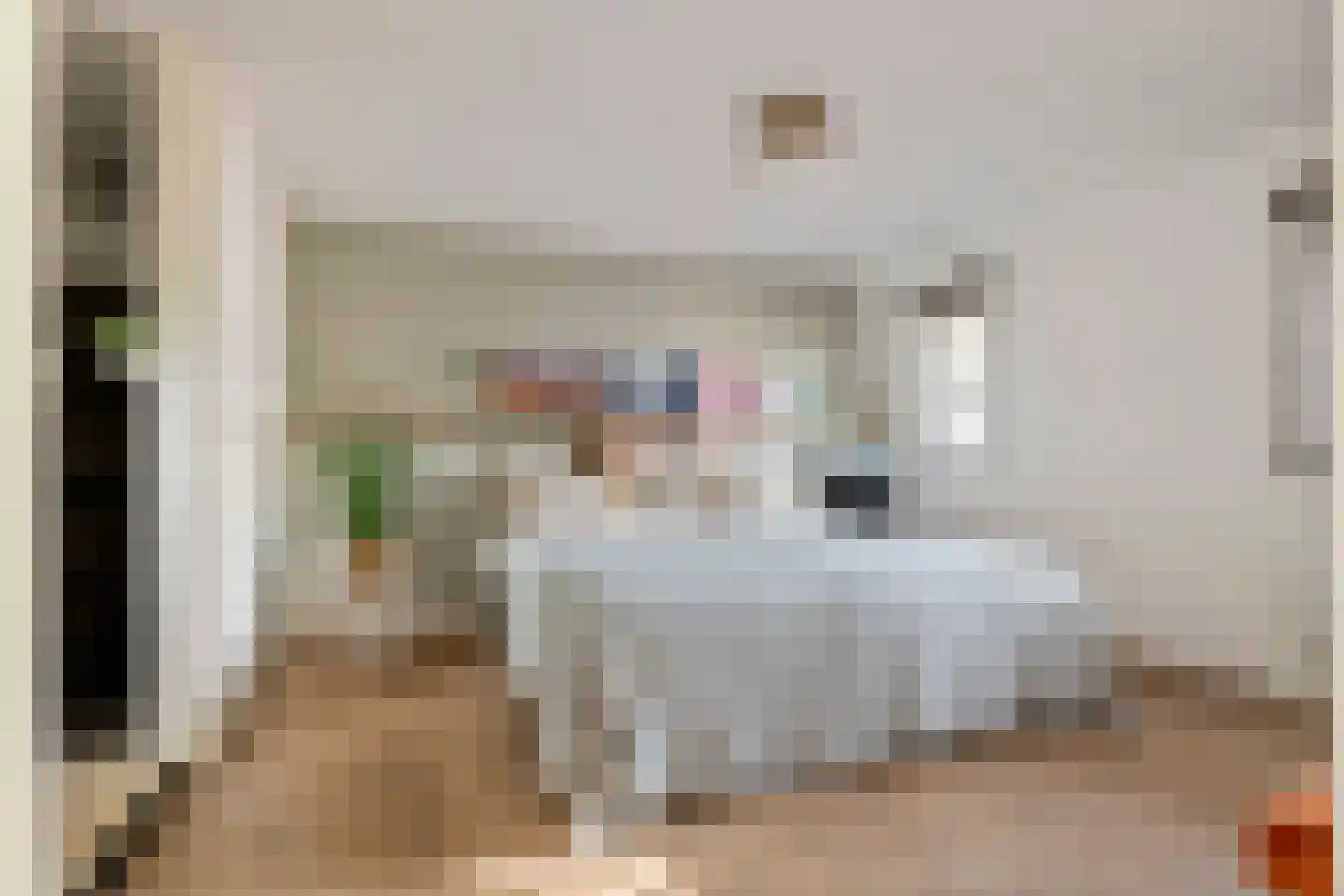 Waalbandijk 36 Varik thumbnail 33