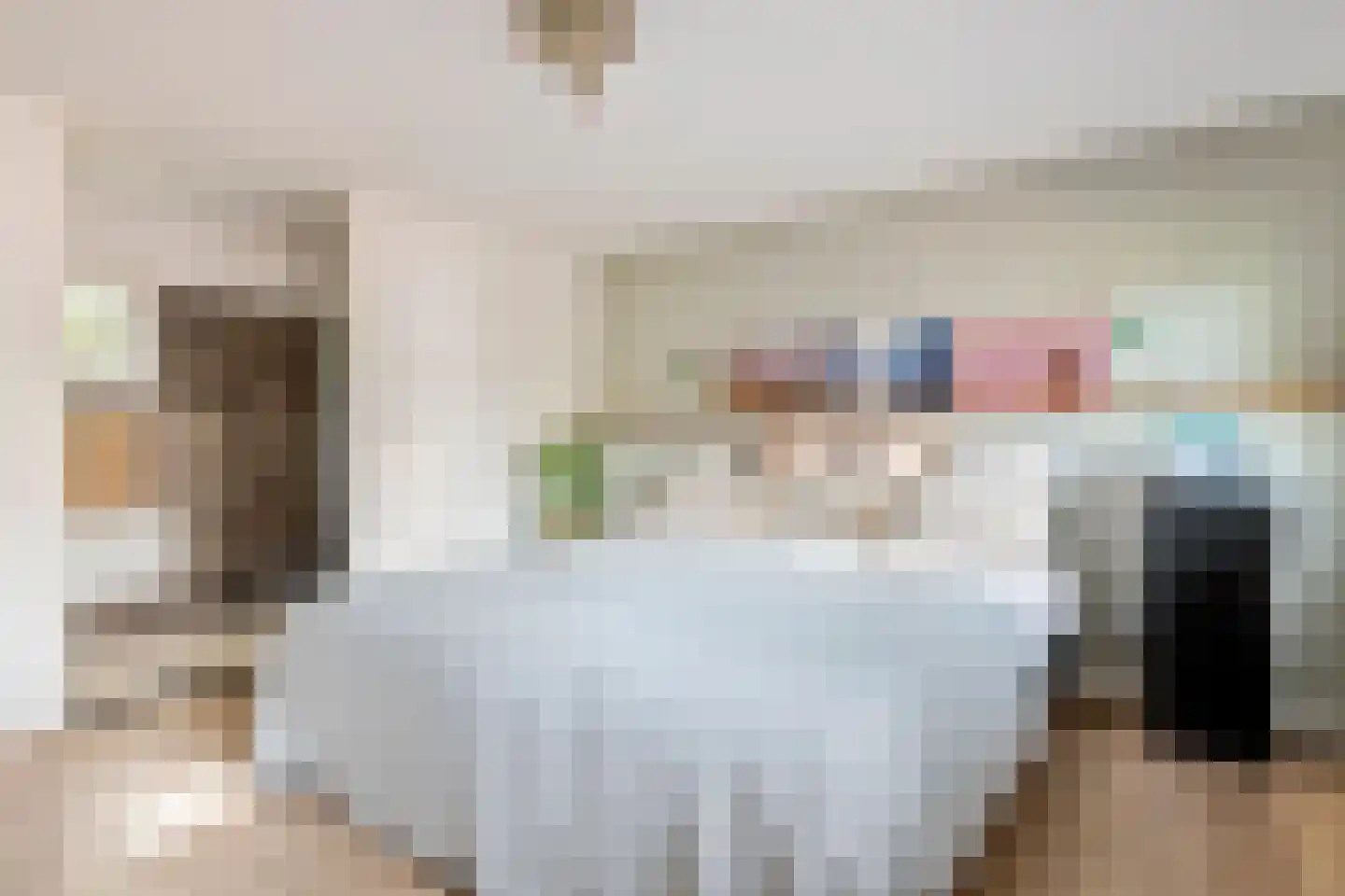 Waalbandijk 36 Varik thumbnail 36