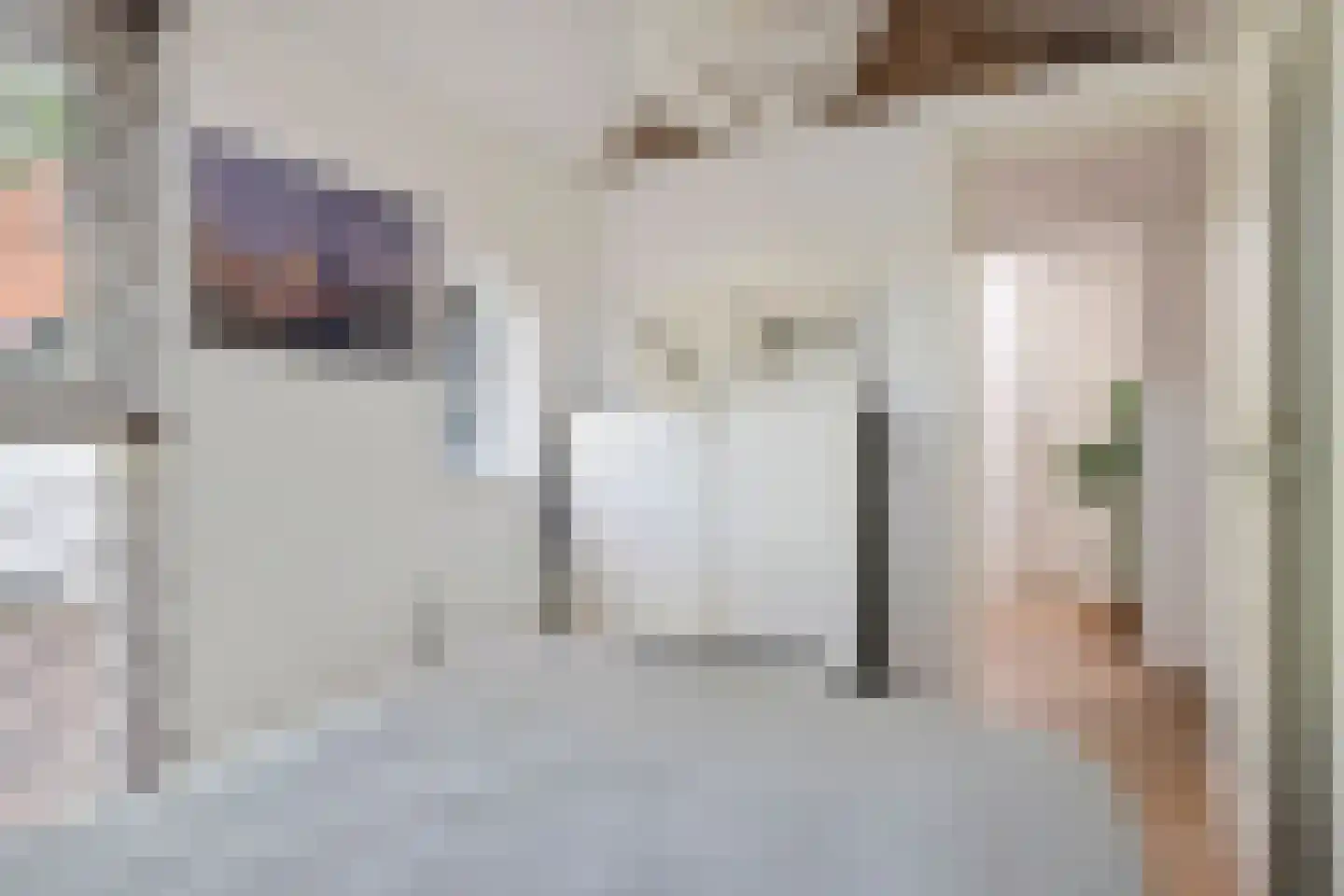 Waalbandijk 36 Varik thumbnail 45