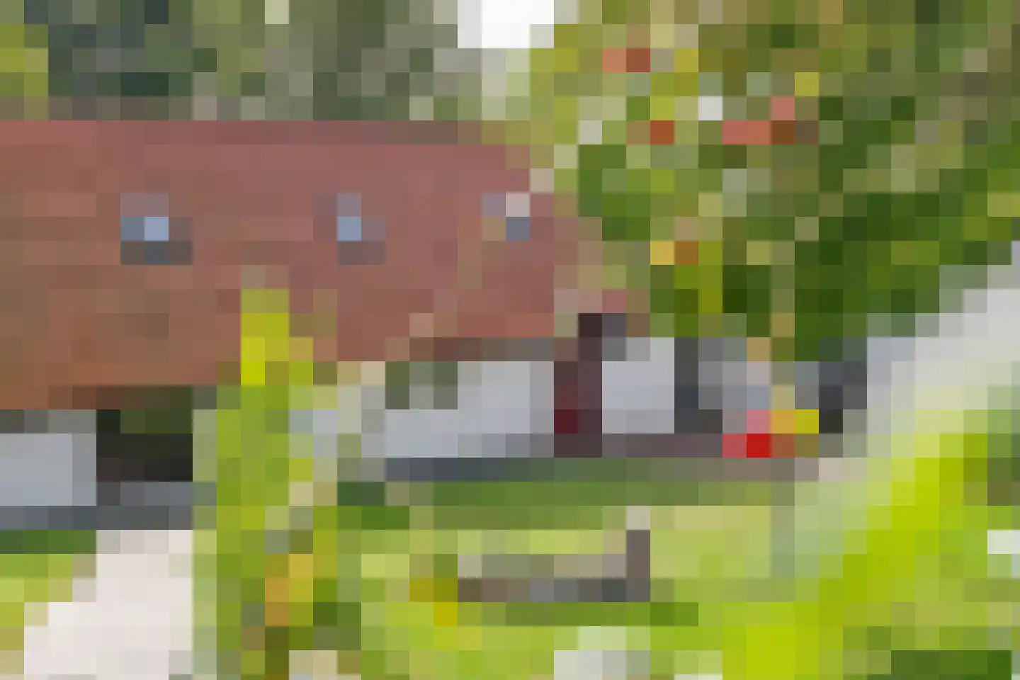 Waalbandijk 36 Varik thumbnail 48