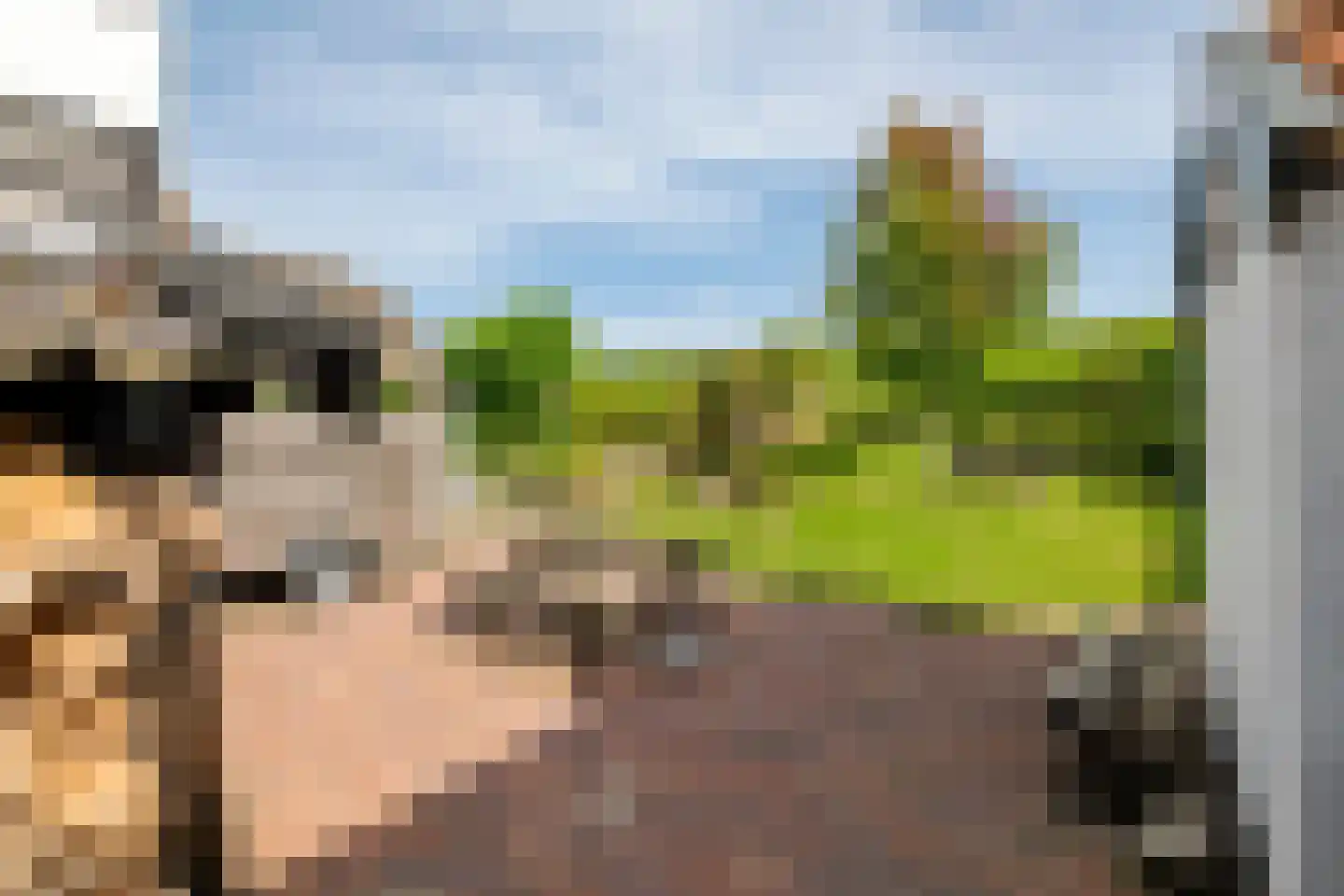 Waalbandijk 36 Varik thumbnail 49
