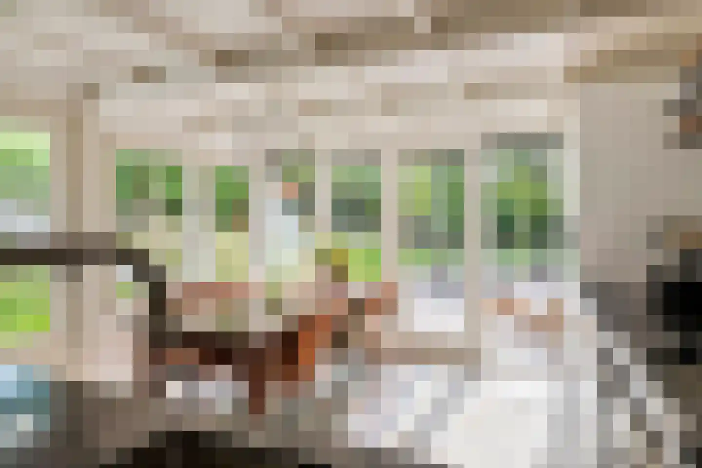 Waalbandijk 36 Varik thumbnail 5