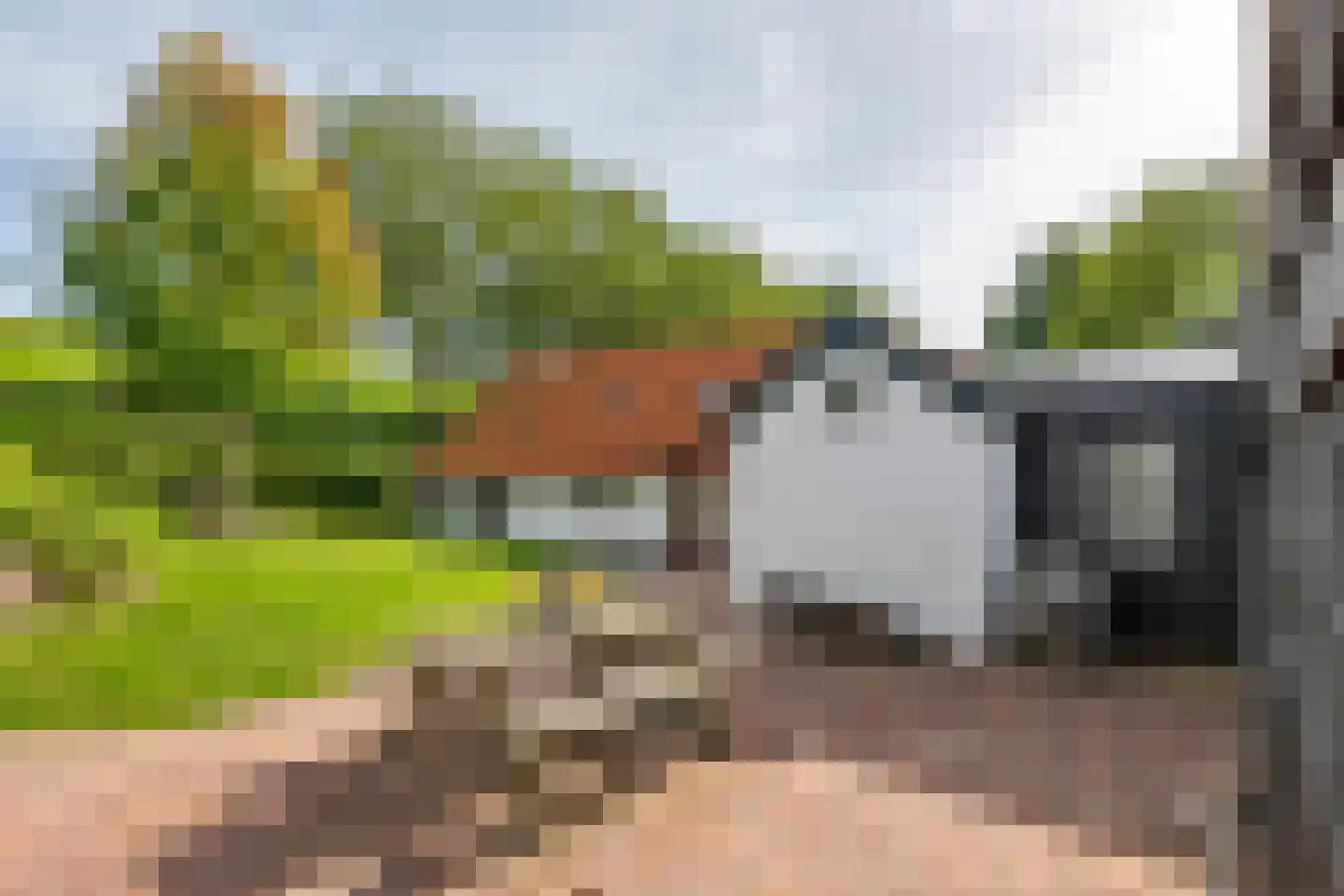 Waalbandijk 36 Varik thumbnail 51