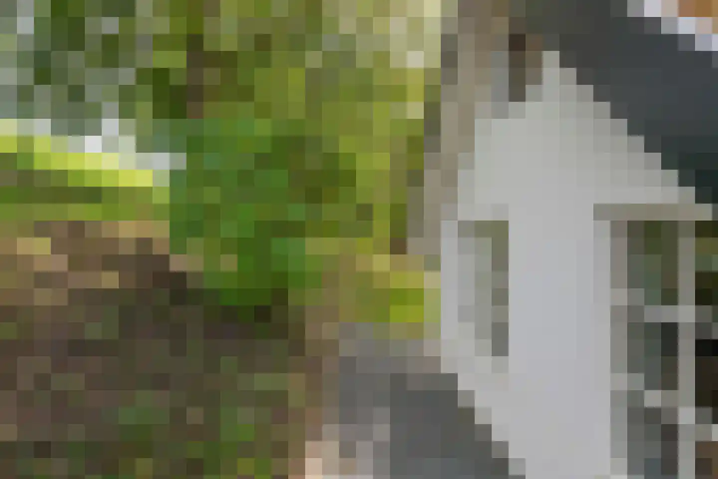 Waalbandijk 36 Varik thumbnail 52