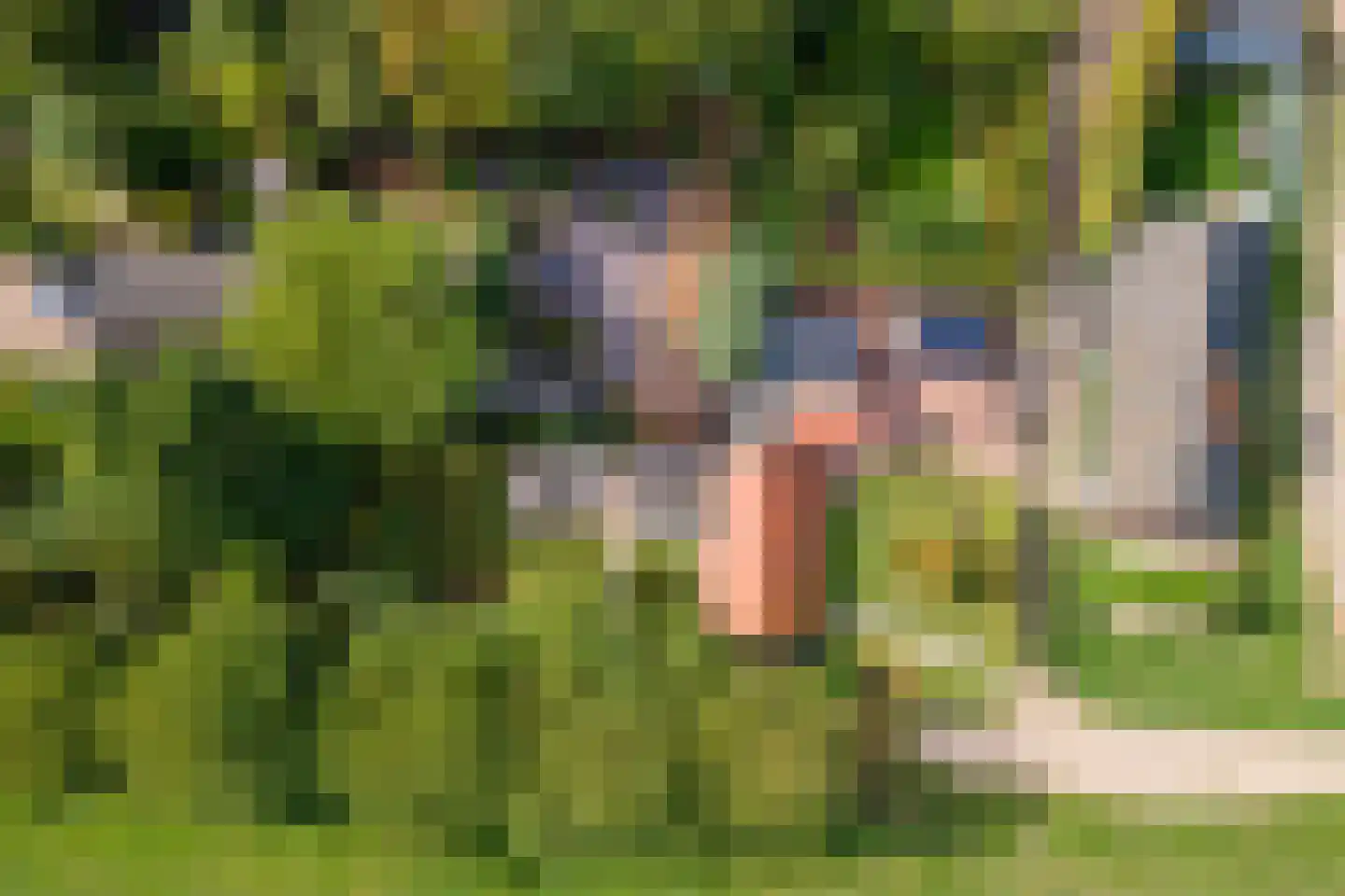 Waalbandijk 36 Varik thumbnail 57