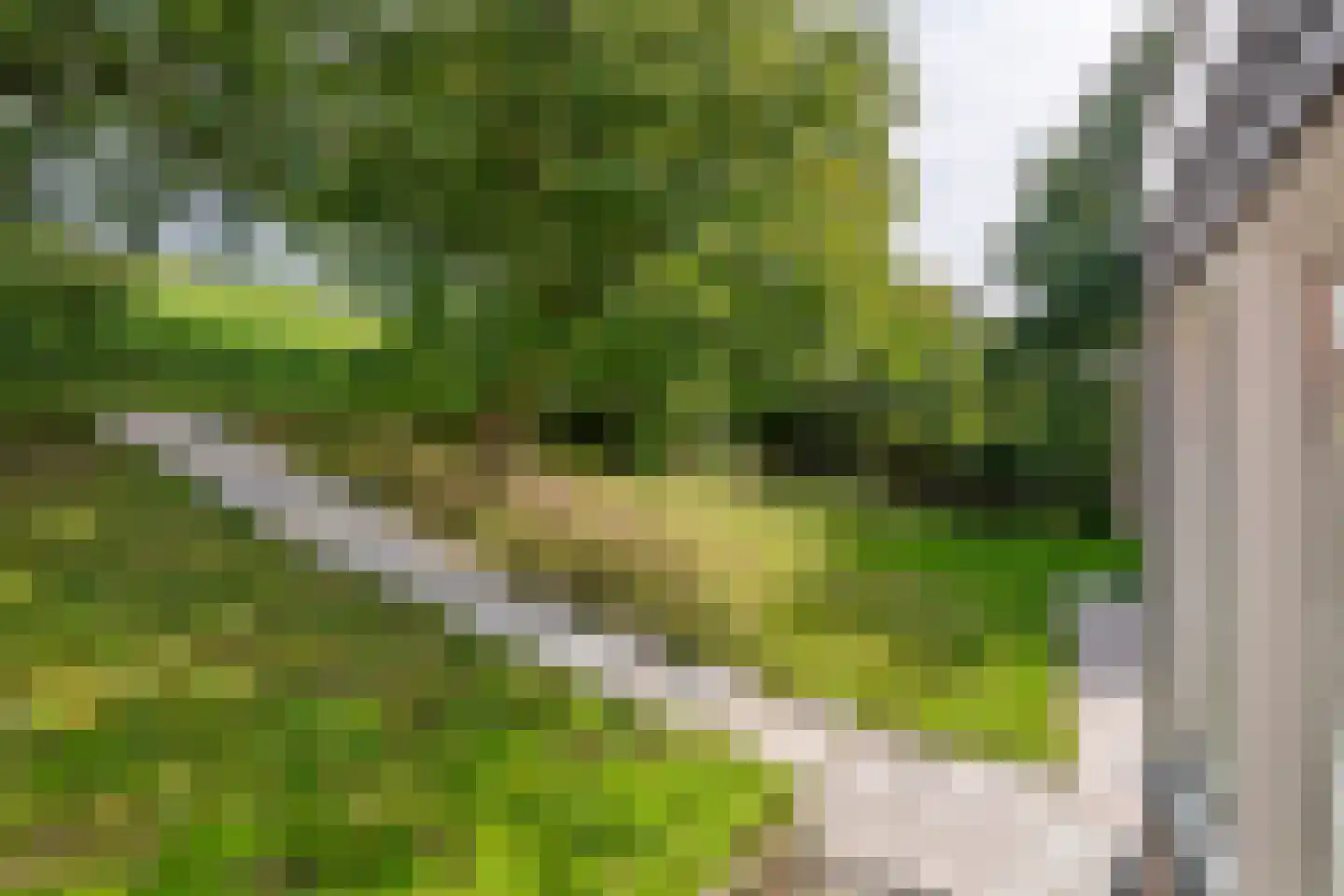 Waalbandijk 36 Varik thumbnail 59