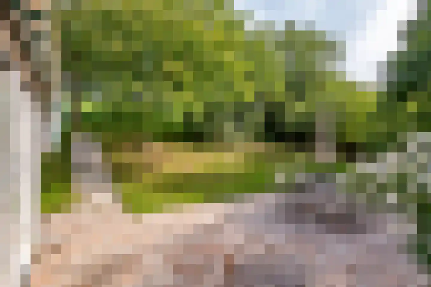 Waalbandijk 36 Varik thumbnail 6