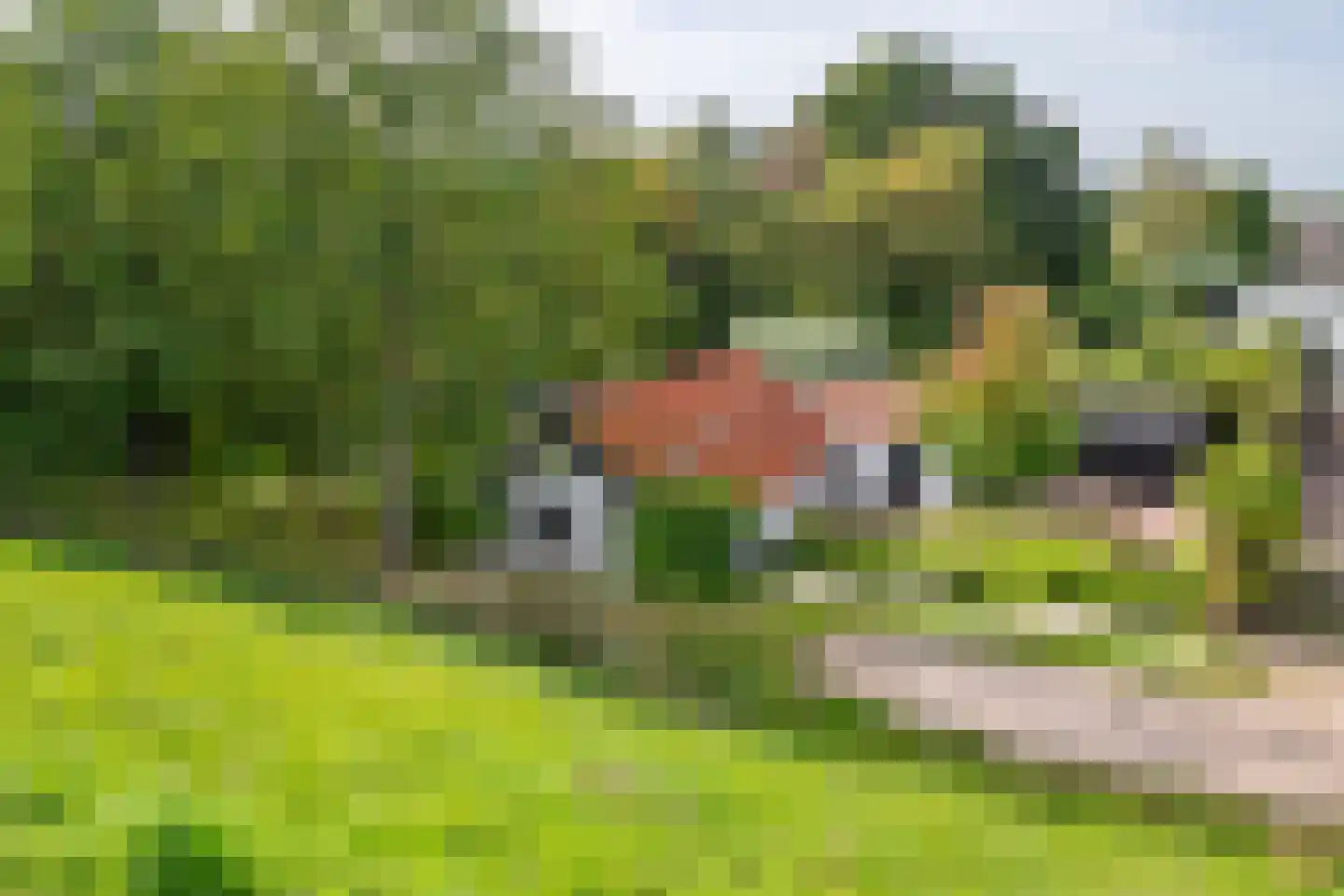 Waalbandijk 36 Varik thumbnail 60