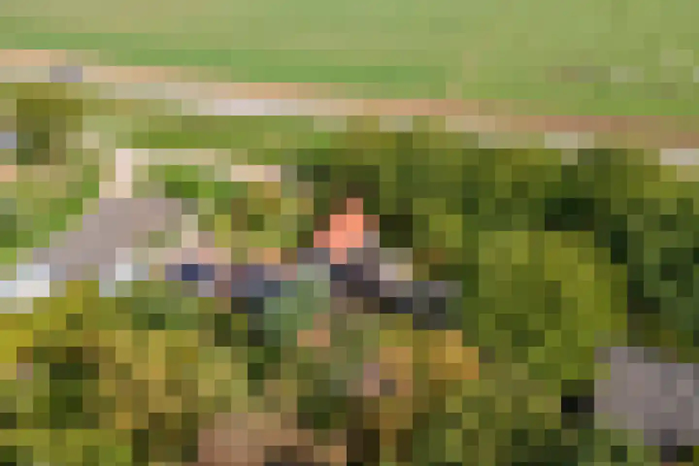 Waalbandijk 36 Varik thumbnail 63