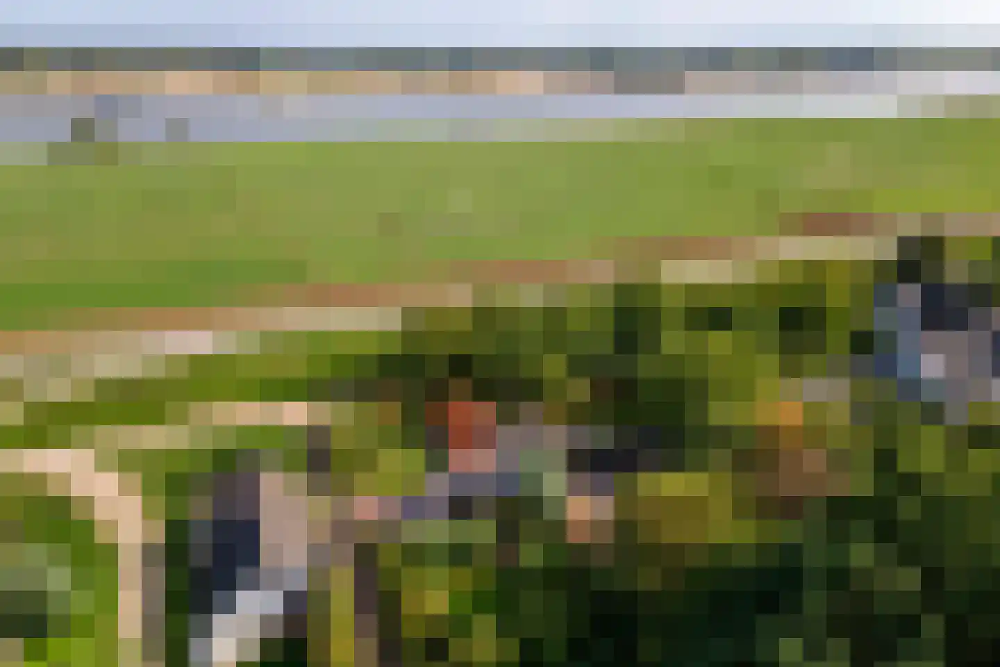 Waalbandijk 36 Varik thumbnail 64