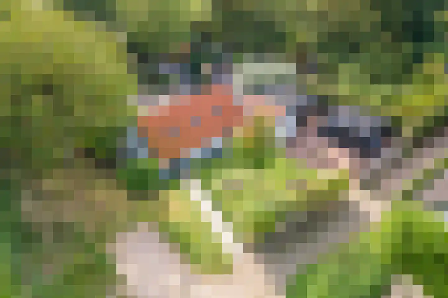 Waalbandijk 36 Varik thumbnail 65