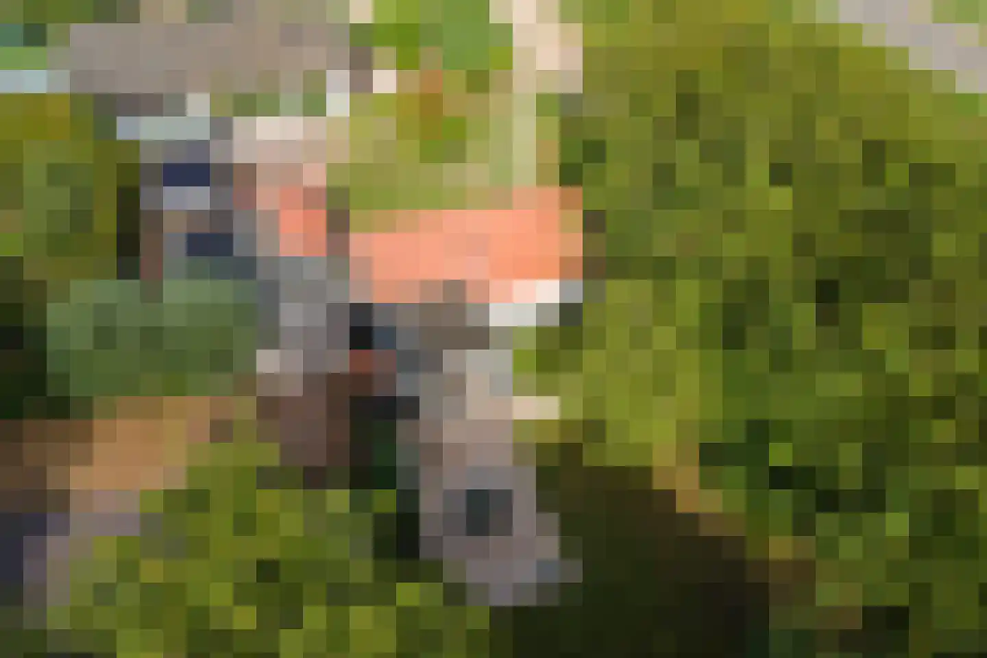 Waalbandijk 36 Varik thumbnail 66